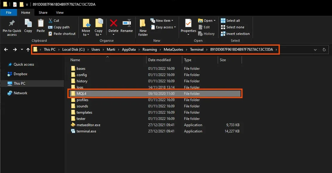 Ruta y carpeta de datos MQL4
